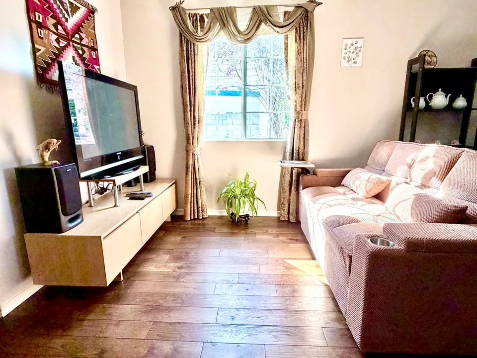 Sofa bed and Smart TV on hardwood floors