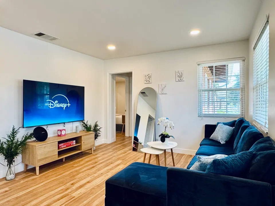 Living room with 65-inch smart TV and sectional